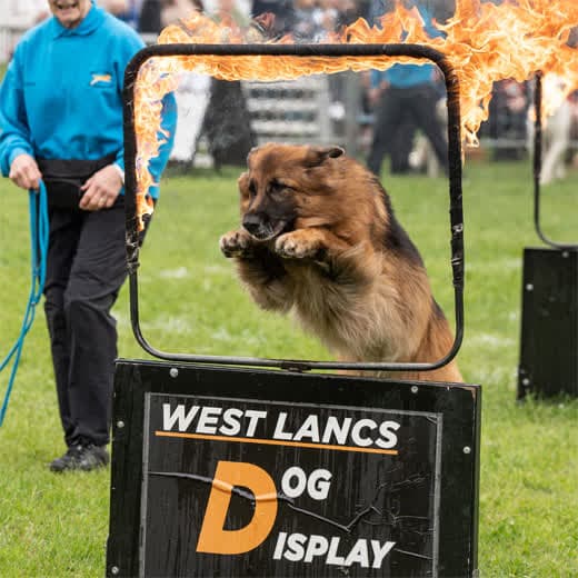 Staffordshire County Show in Stafford