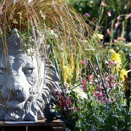 Harrogate Spring Flower Show in Harrogate