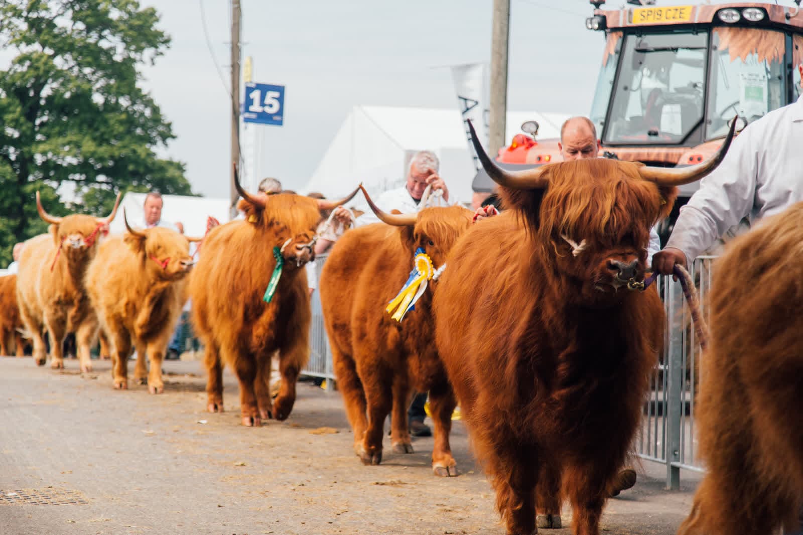 Royal Highland Show in Ingliston
