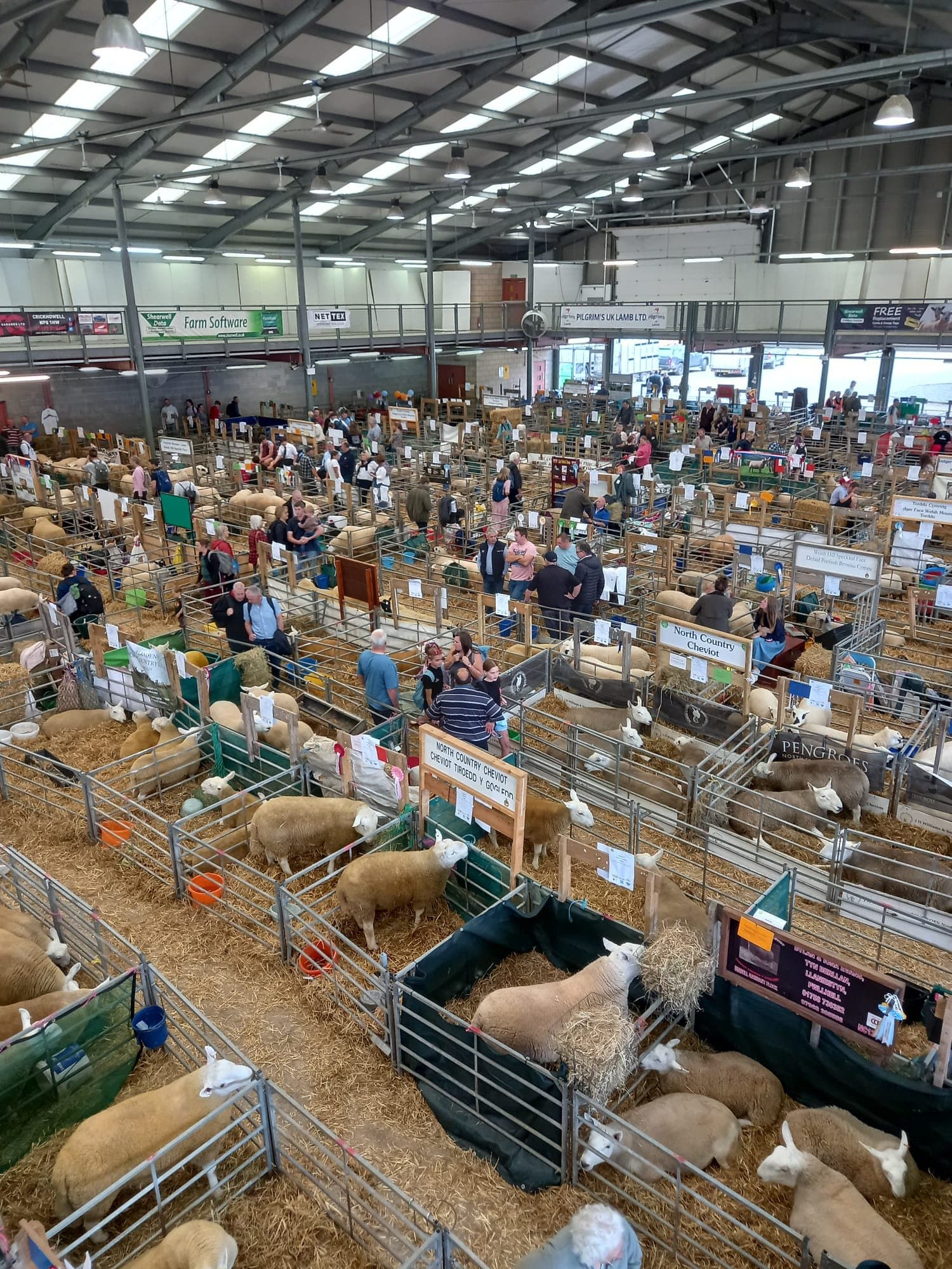 Royal Welsh Show in Builth Wells